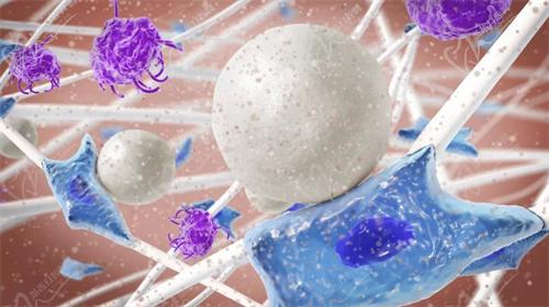 什么是濡白天使?