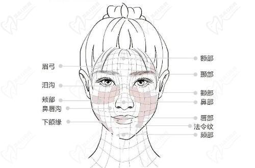 蔡躍波醫(yī)生擅長(zhǎng)面部輪廓注射重塑