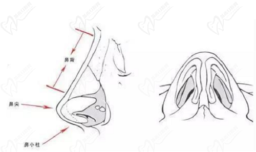 張繼強(qiáng)醫(yī)生研創(chuàng)的"黃金三角架搭建法"是其技術(shù)核心