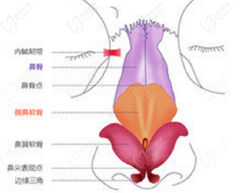 曾寧醫(yī)生的技術(shù)特色則體現(xiàn)在"隱蔽切口綜合鼻整形"上